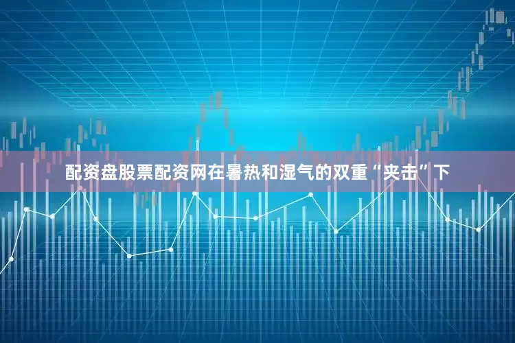 配资盘股票配资网在暑热和湿气的双重“夹击”下