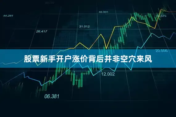 股票新手开户涨价背后并非空穴来风