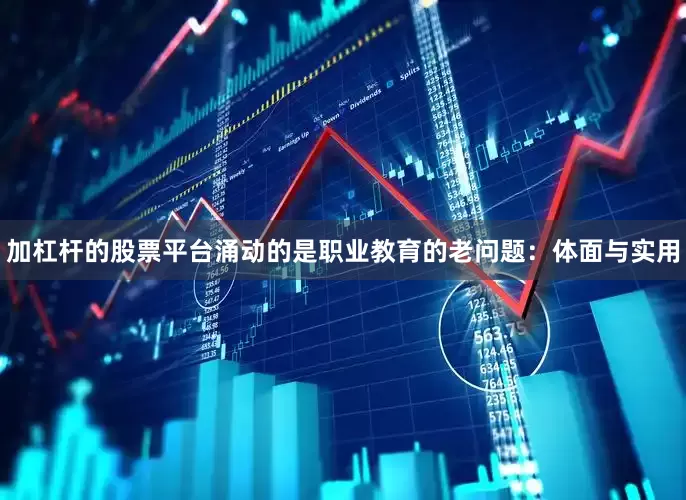 加杠杆的股票平台涌动的是职业教育的老问题：体面与实用